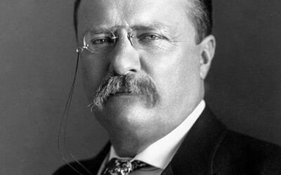 Theodore Roosevelt Magyarországon